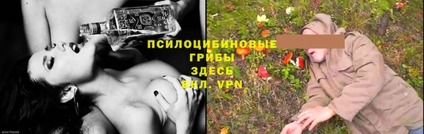 спайс Алексин