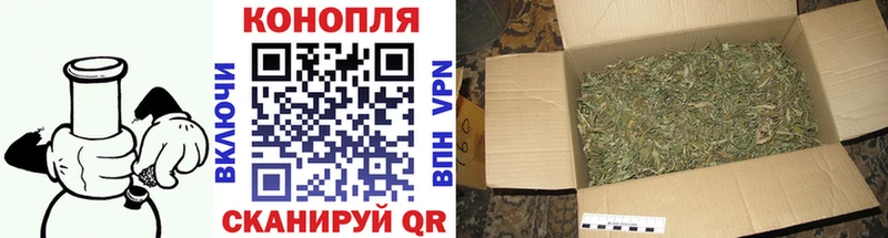 Конопля Bruce Banner  где купить   Джанкой 